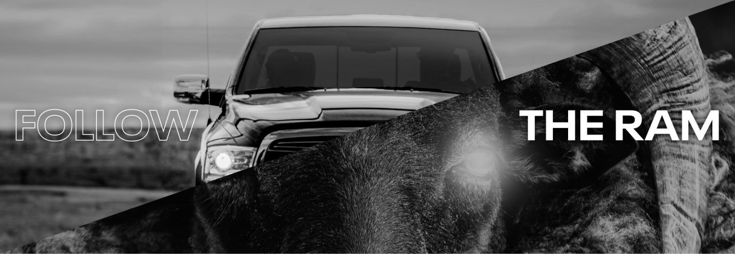 Ram Rebel