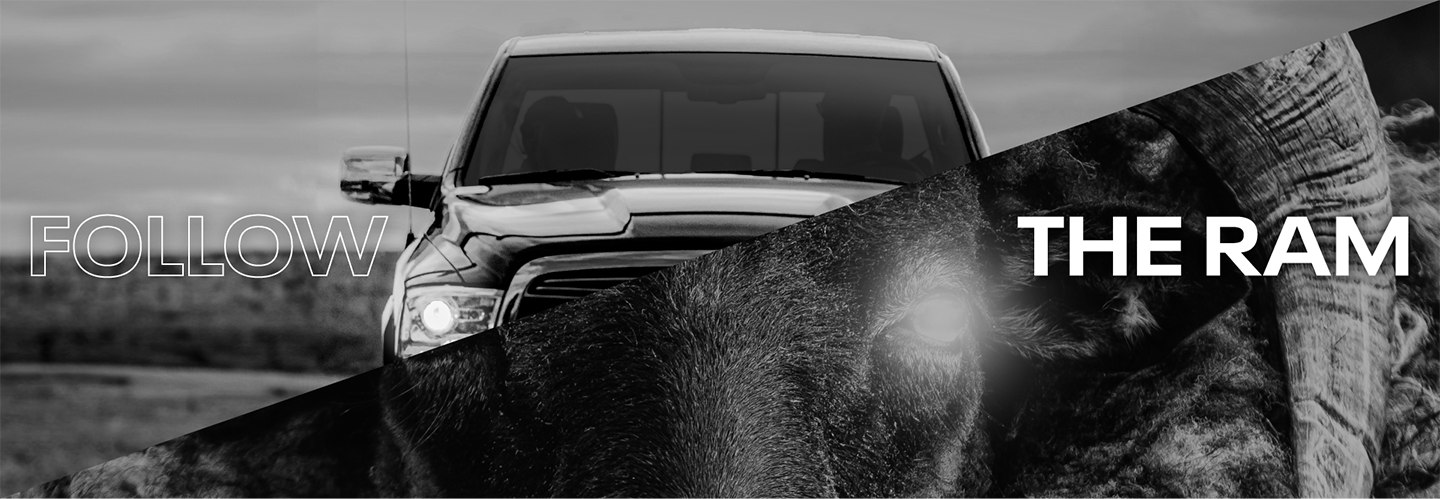 Ram rebel